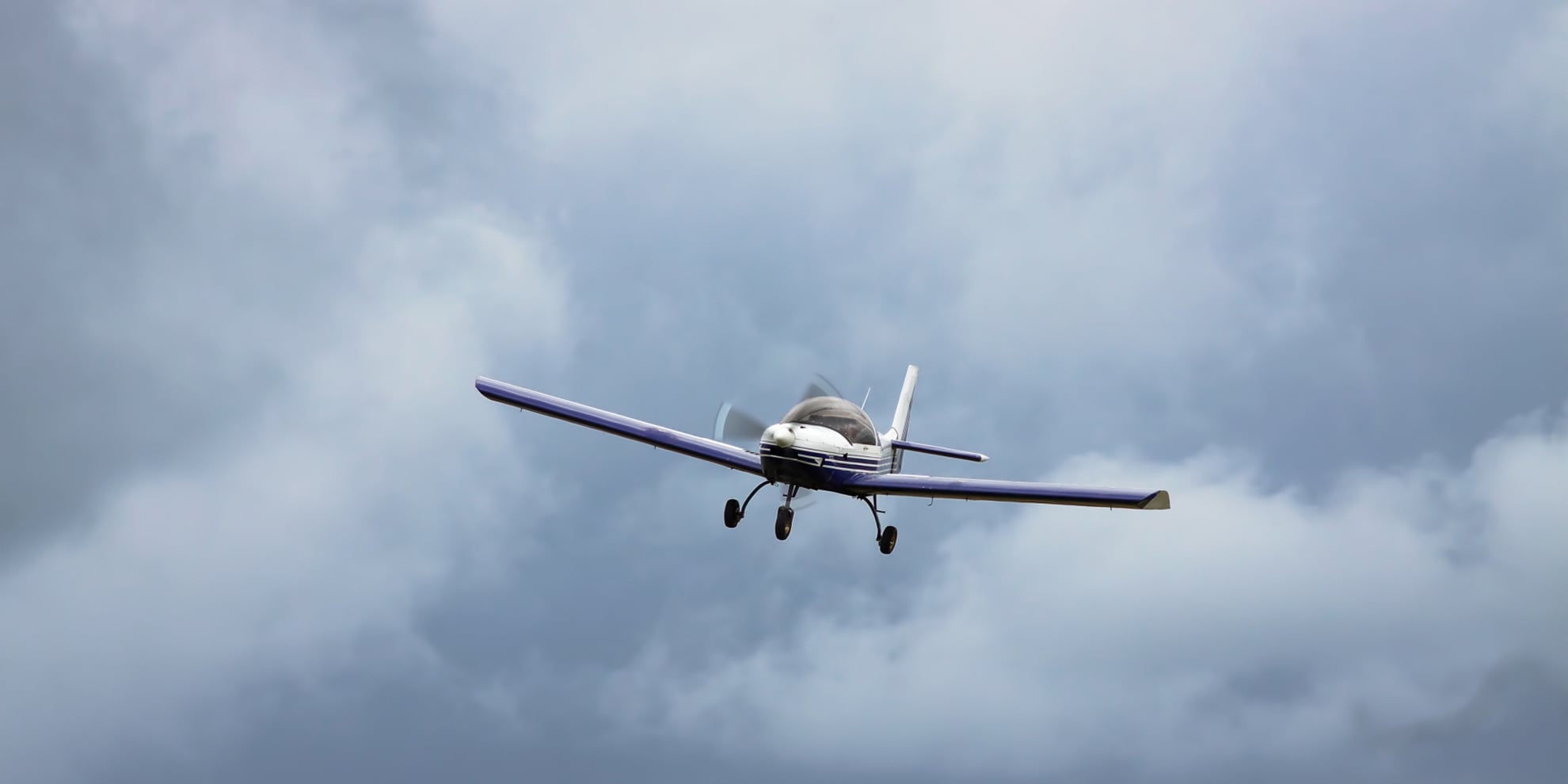 Lite fly i grå skyer